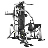 Multiestación semiprofesional de musculación Horizon Fitness Torus 5
