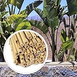 HAPPERS Valla Bambú Natural para Jardín o Terraza. Rollo de cañas de 100cm x 200cm
