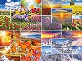 Edition Colibri - Juego de 20 tarjetas postales de naturaleza «Las cuatro estaciones»...