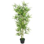 Planta de palma de bambú