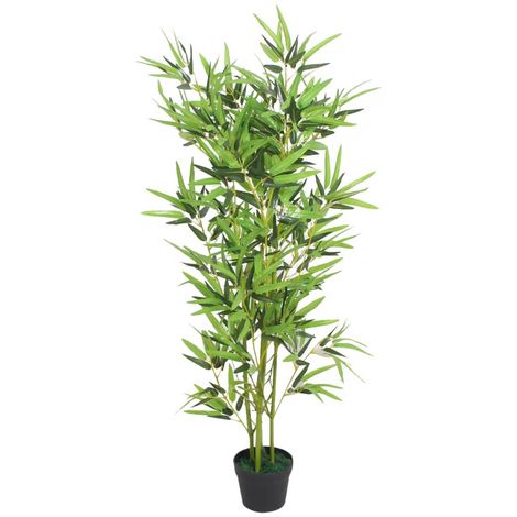 Planta de palma de bambú