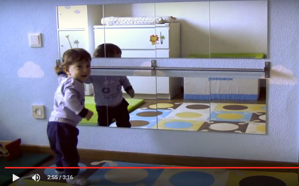 En este momento estás viendo Espejo y barra Montessori ikea