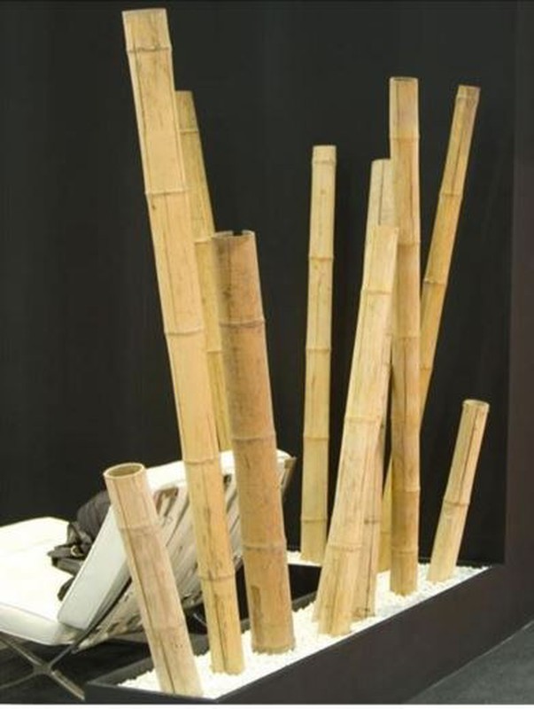 Canas decorativas