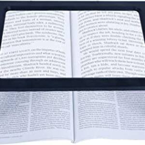 Lupa De Lectura