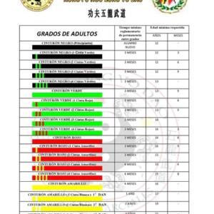 Cinturones taekwondo españa