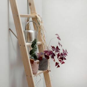 Escalera decorativa