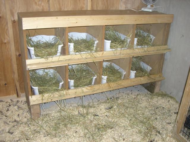Ponederos Para Gallinas