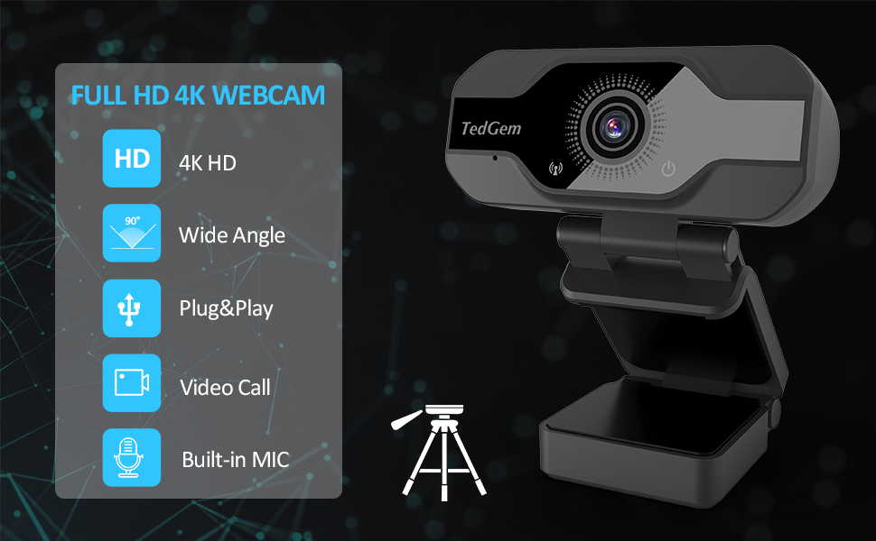 Tedgem Webcam